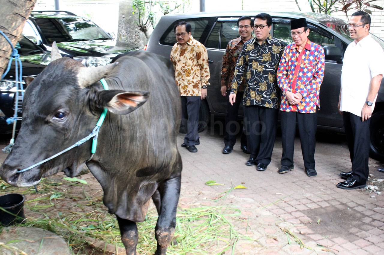 Sinar Mas Serahkan Hewan...