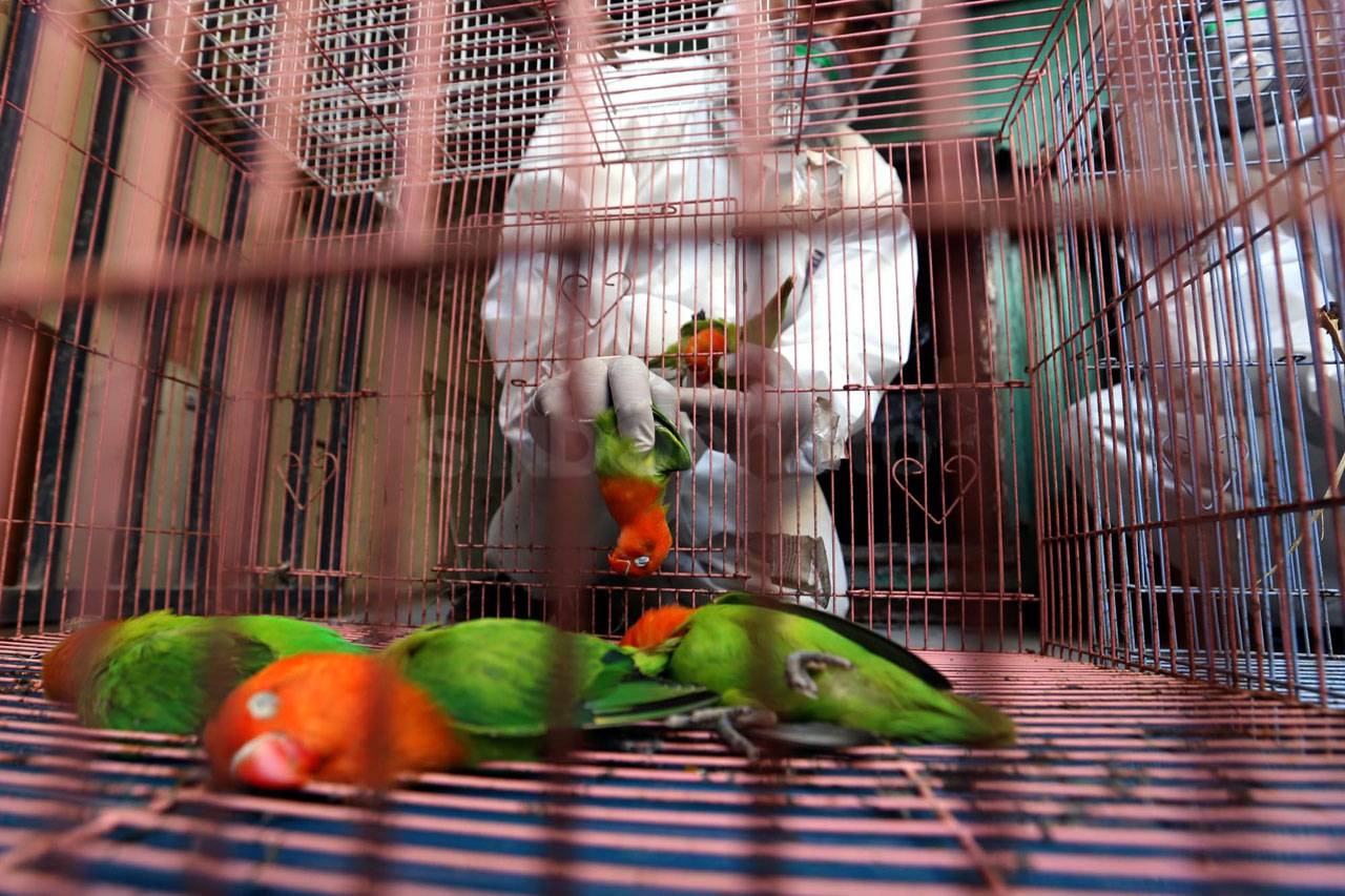 Balai Karantina Pertanian...