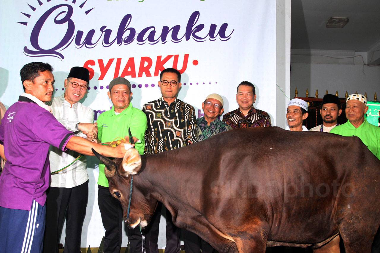 Kurban Muamalat Dukung...
