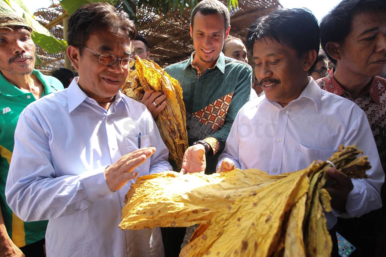 Sampoerna Dukung Petani...