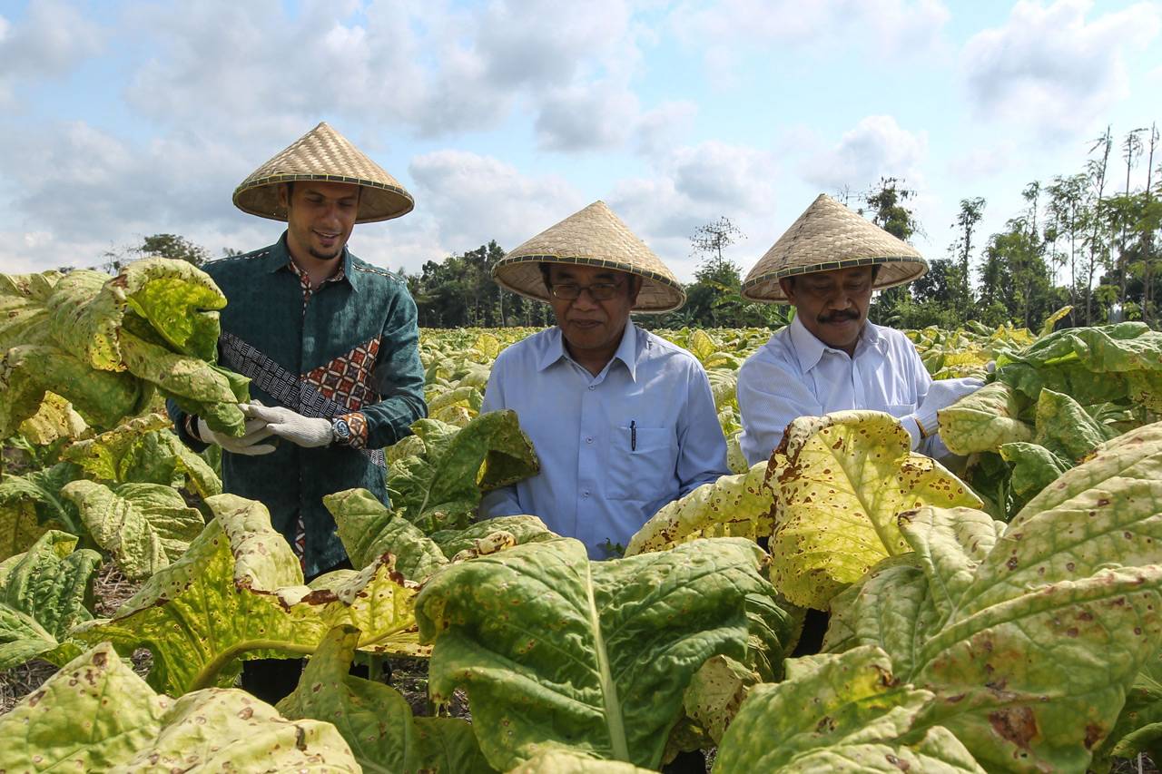 Sampoerna Dukung Petani...