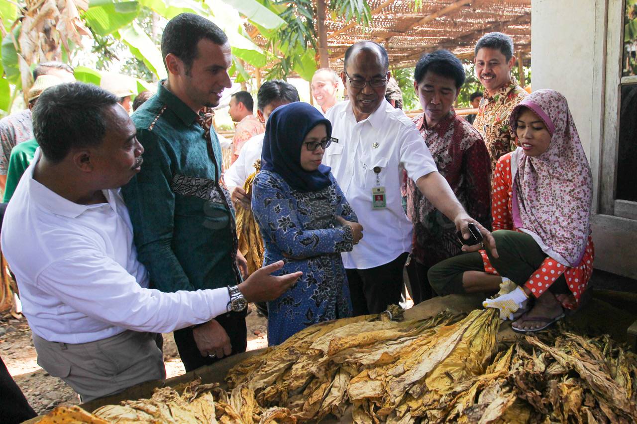 Sampoerna Dukung Petani...