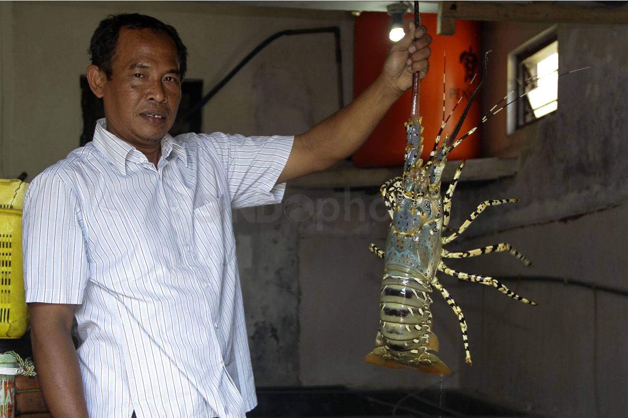 Semen Indonesia Terus...