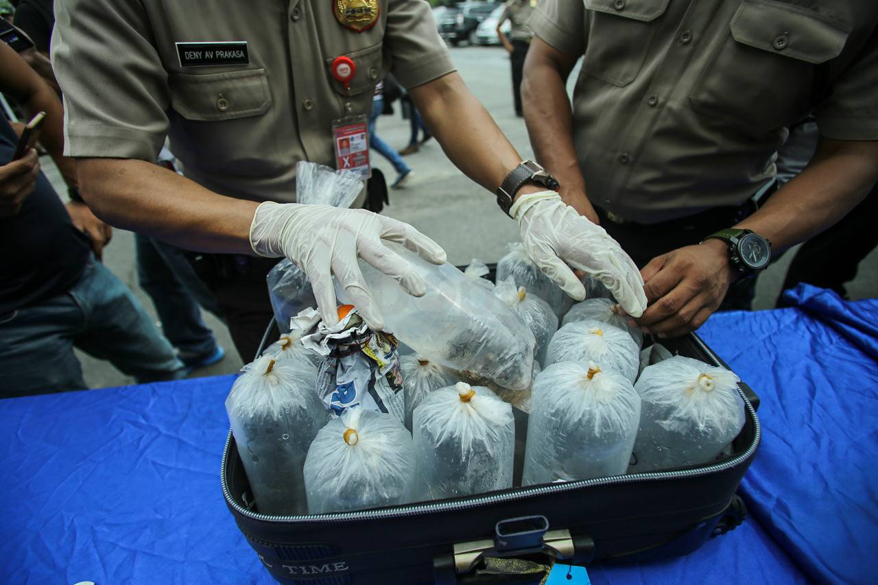 Polisi Gagalkan Penyelundupan...
