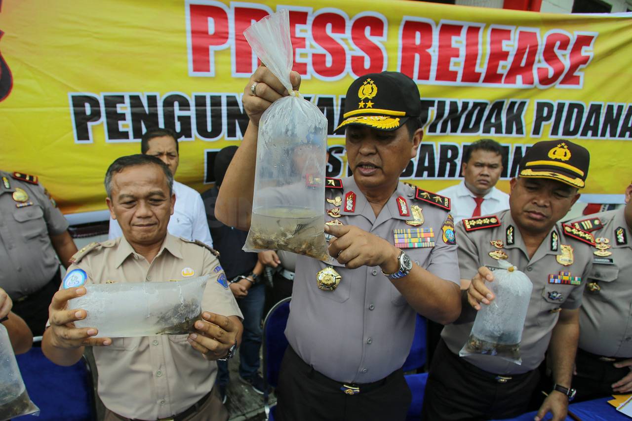 Polisi Gagalkan Penyelundupan...