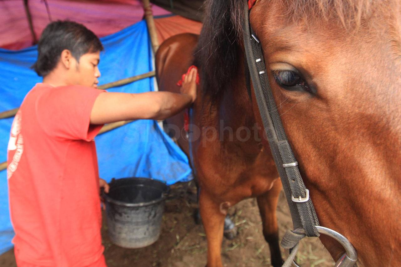 Pacuan Kuda Tradisional...