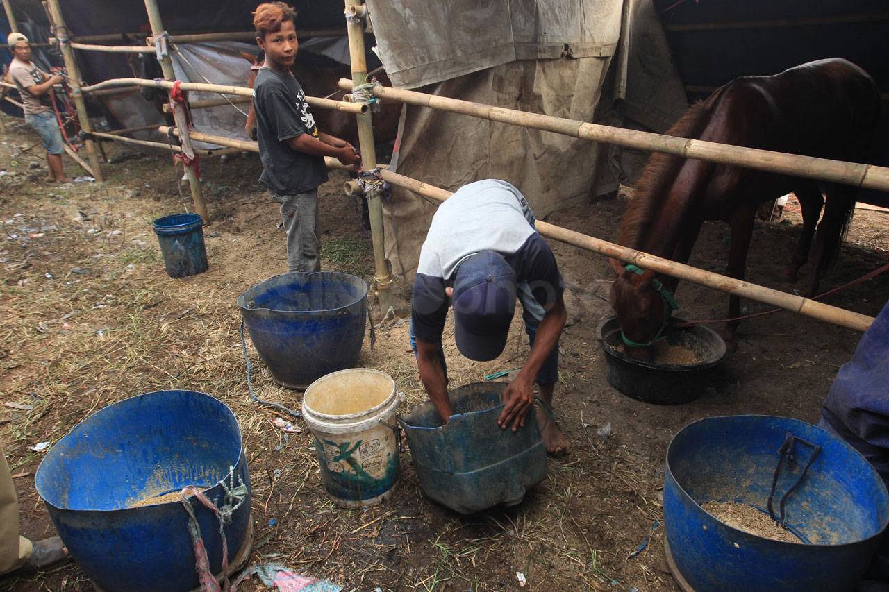 Pacuan Kuda Tradisional...