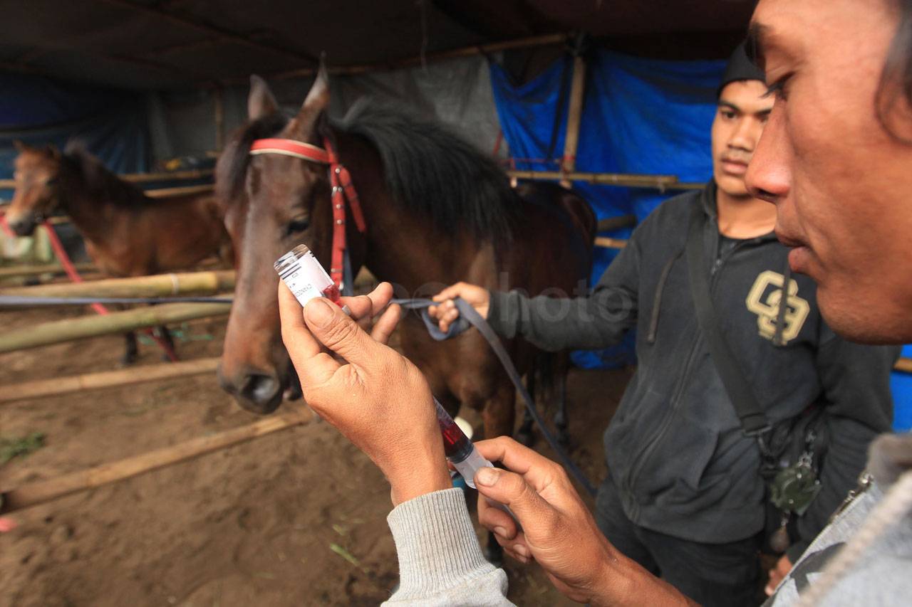 Pacuan Kuda Tradisional...