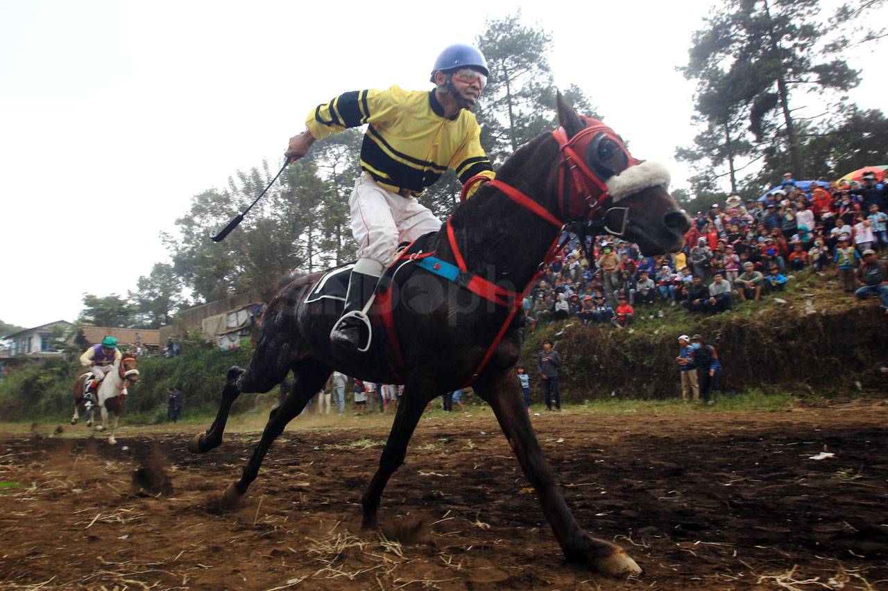 Pacuan Kuda Tradisional...