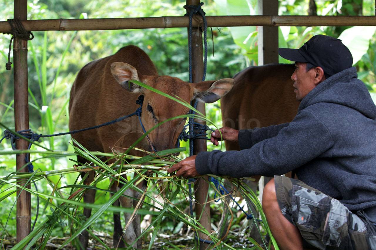 Manfaatkan Cuaca Cerah,...