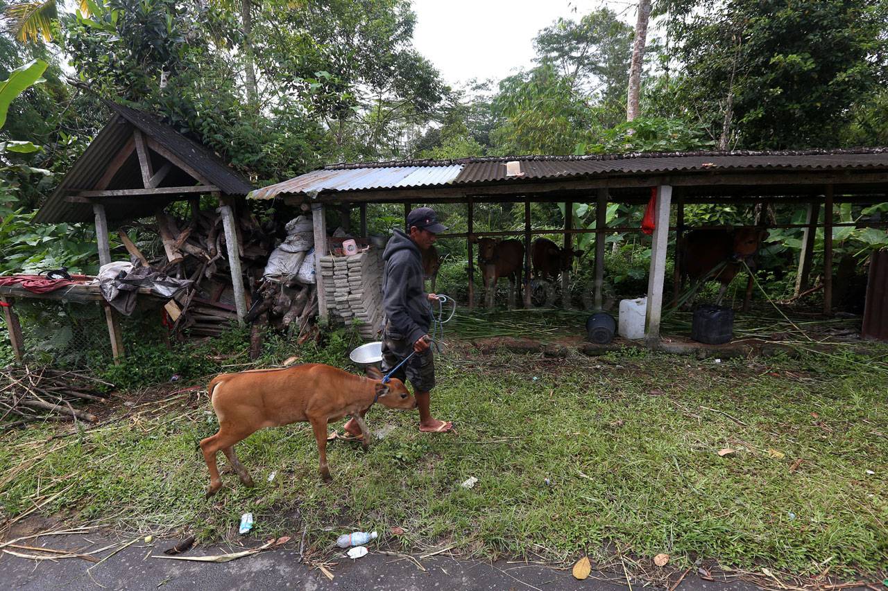 Manfaatkan Cuaca Cerah,...