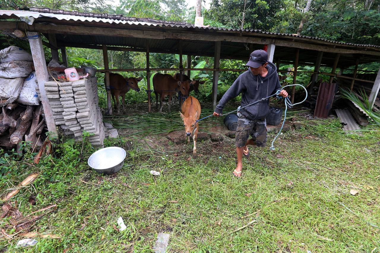 Manfaatkan Cuaca Cerah,...