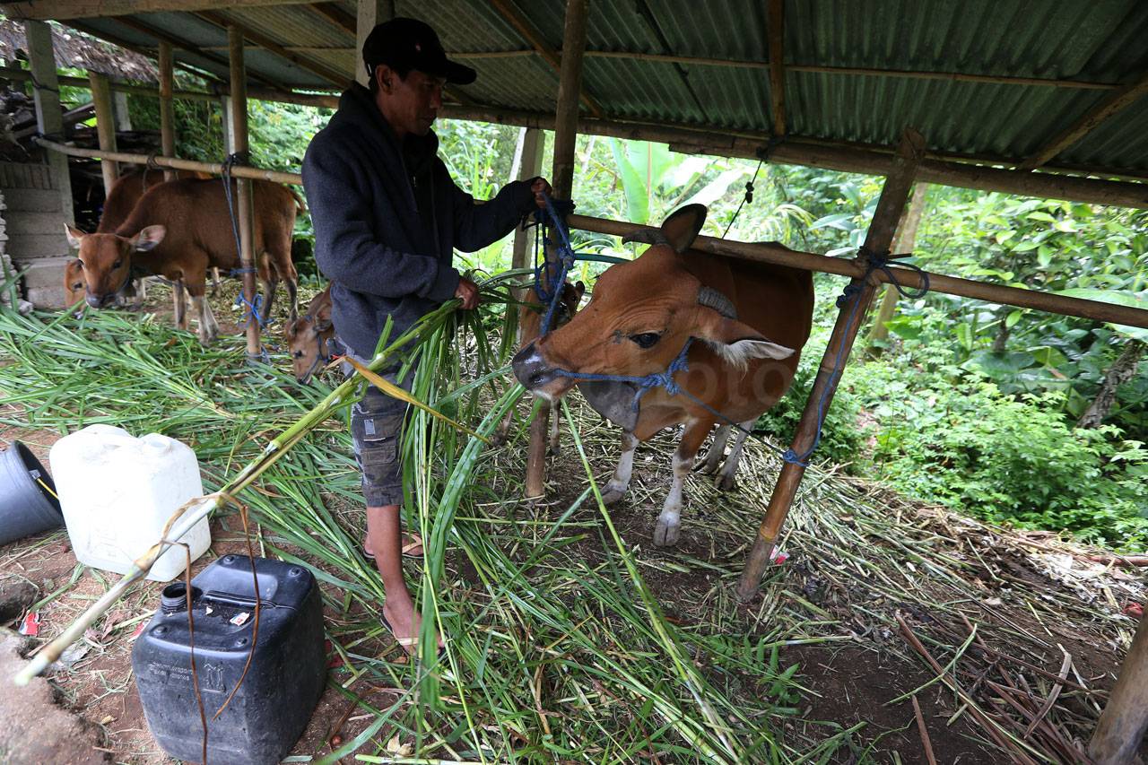Manfaatkan Cuaca Cerah,...