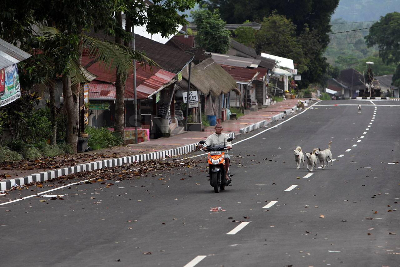 Ditinggal Mengungsi...