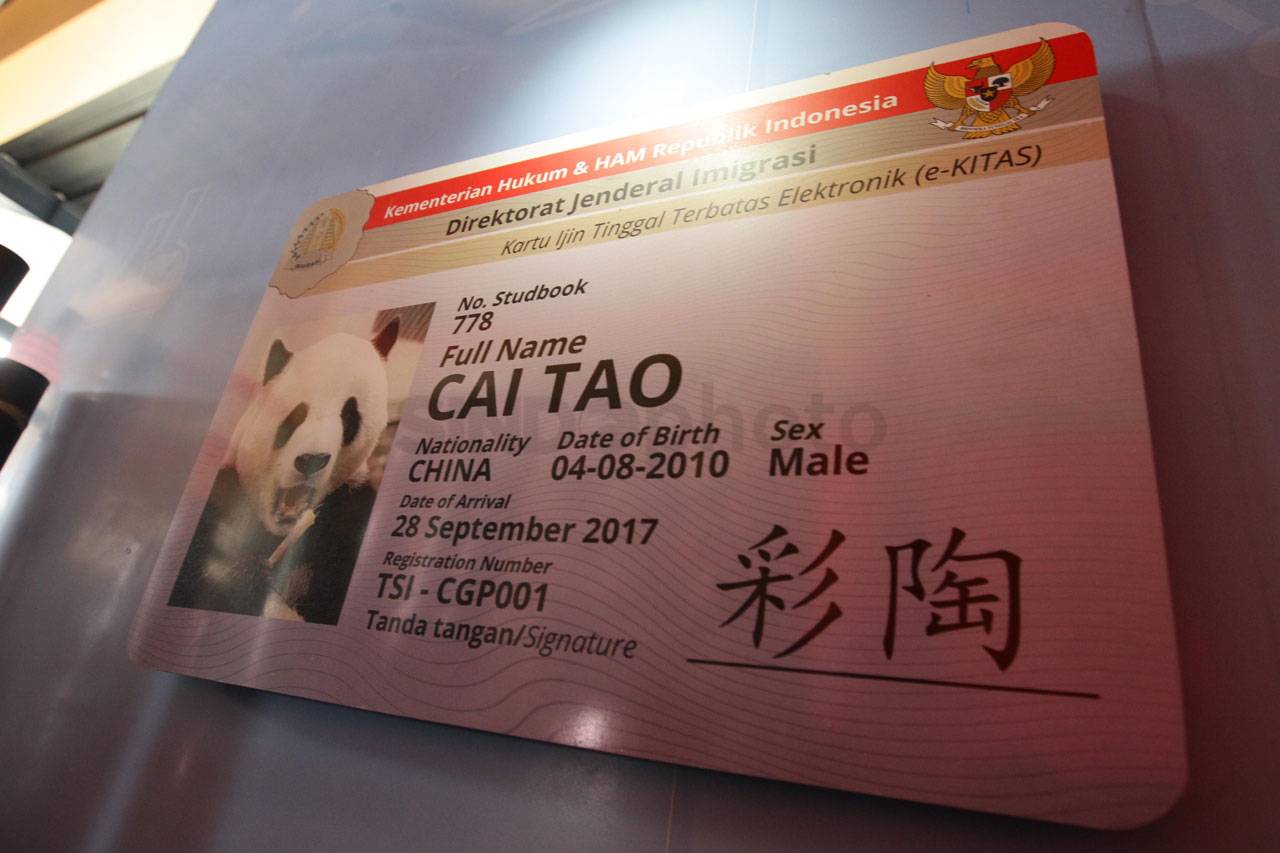 Selesai Jalani Karantina,...