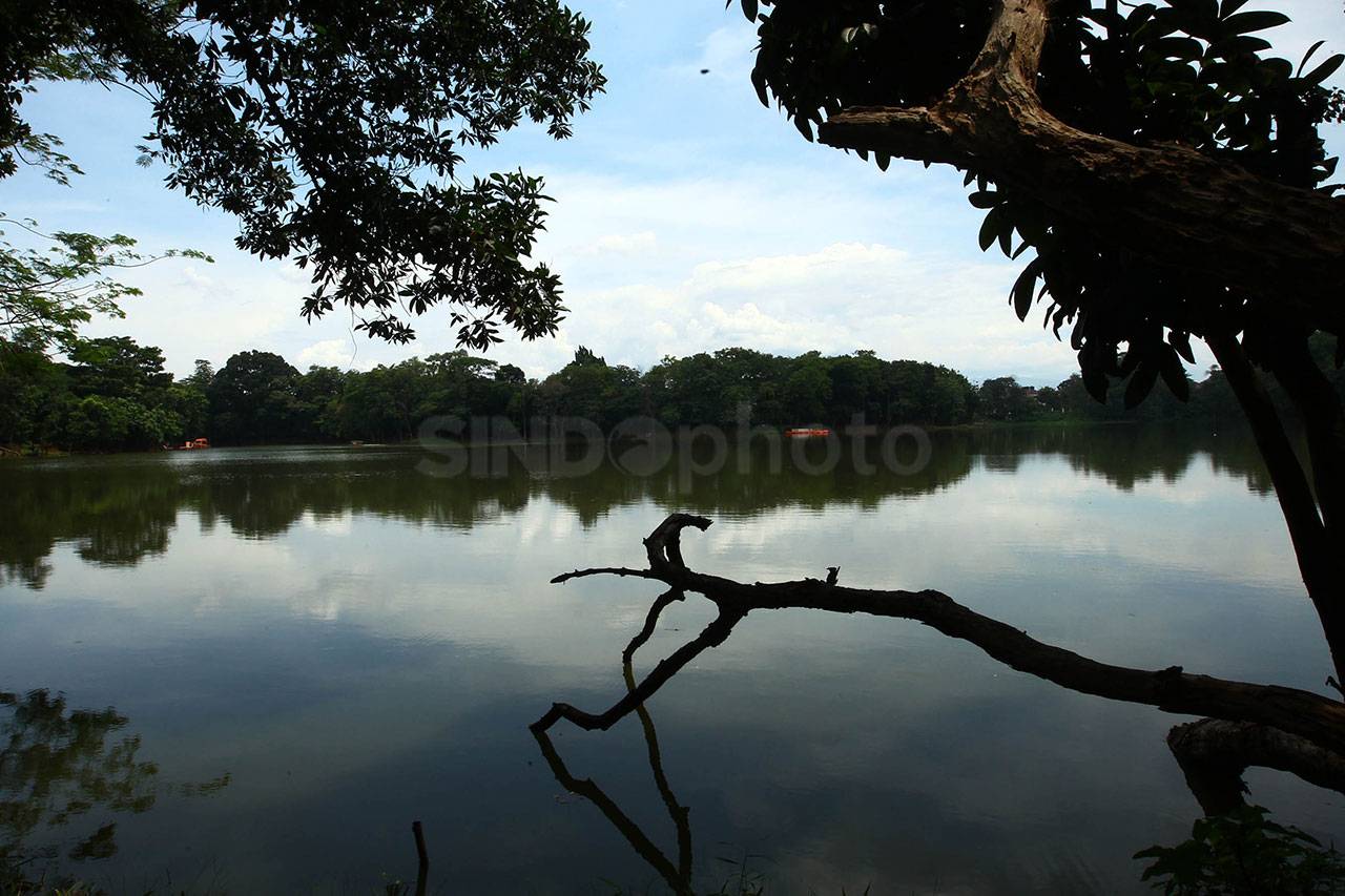 Rawa Dongkal Oase Hijau...