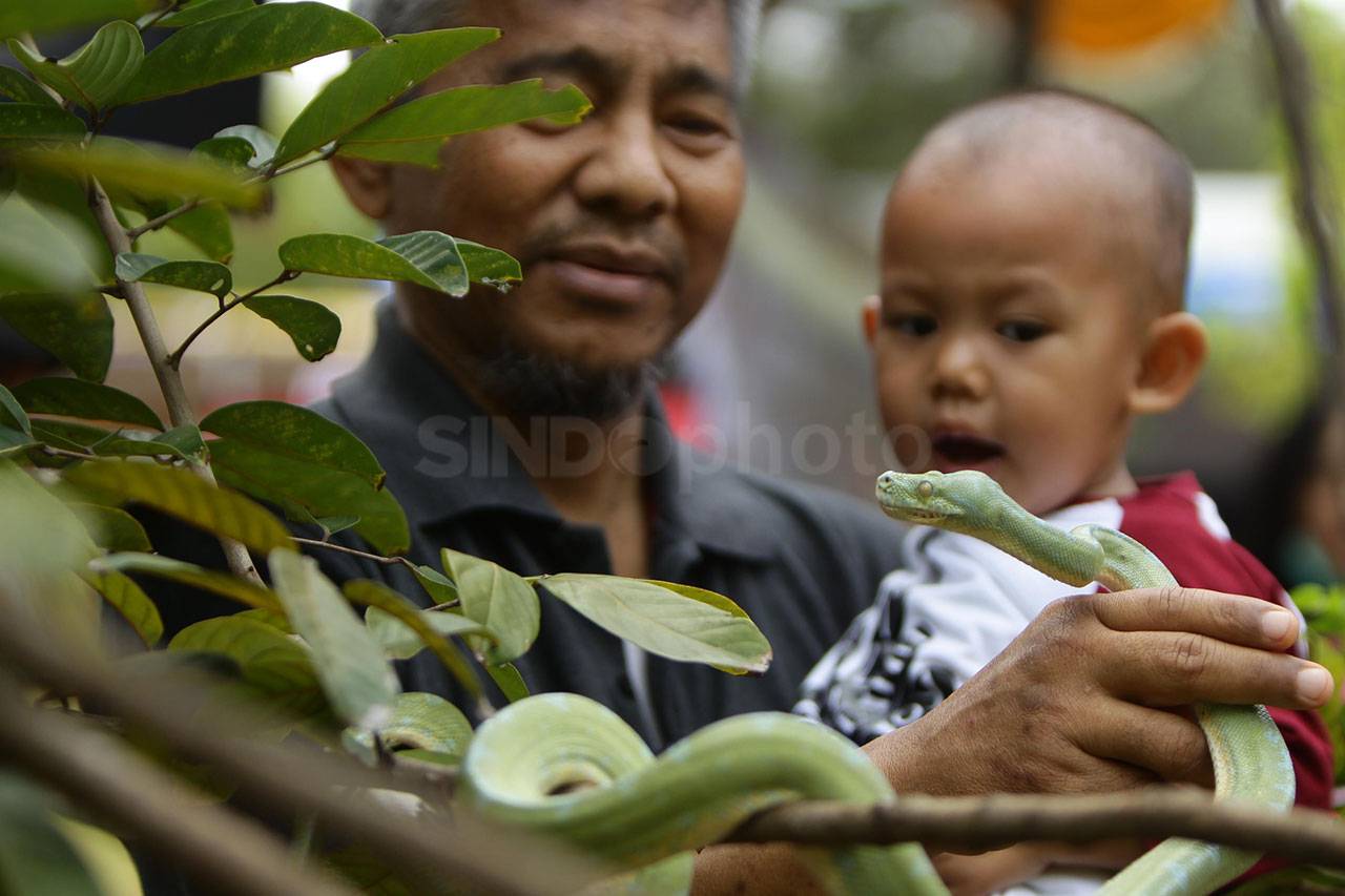 Kenalkan Alam ke Anak-anak...