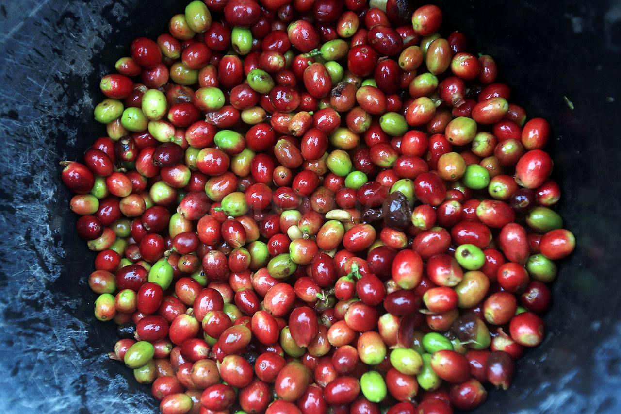 Asuransi Simas Petani...