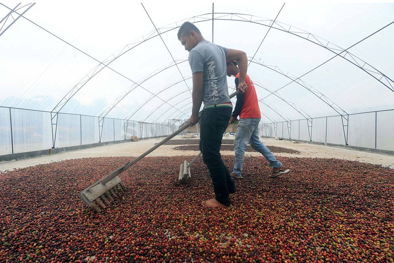 Asuransi Simas Petani...