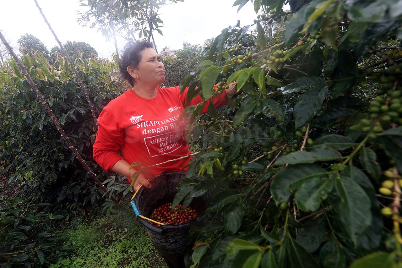 Asuransi Simas Petani...