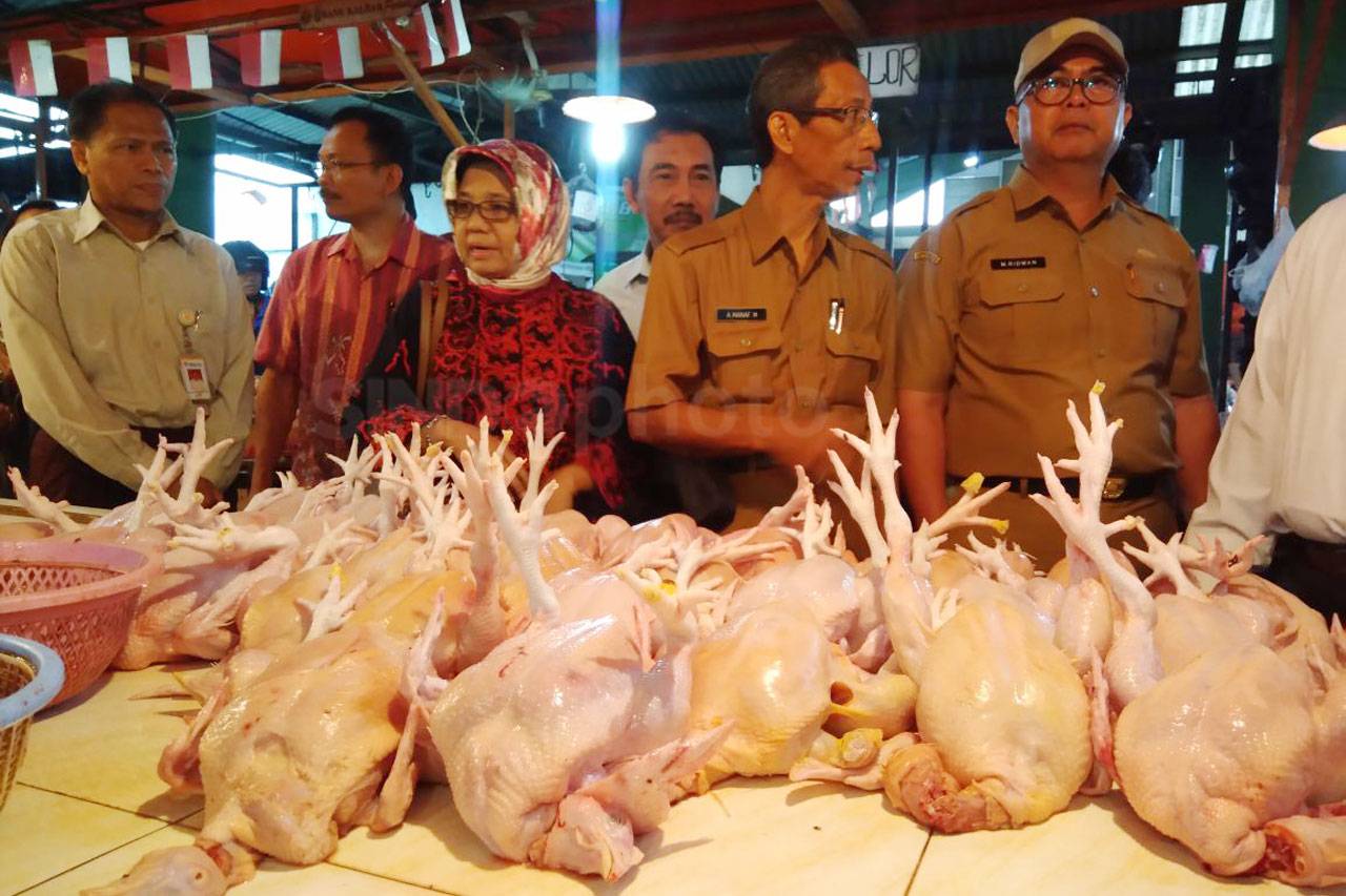 BKP Kementan Gelar Rakor...