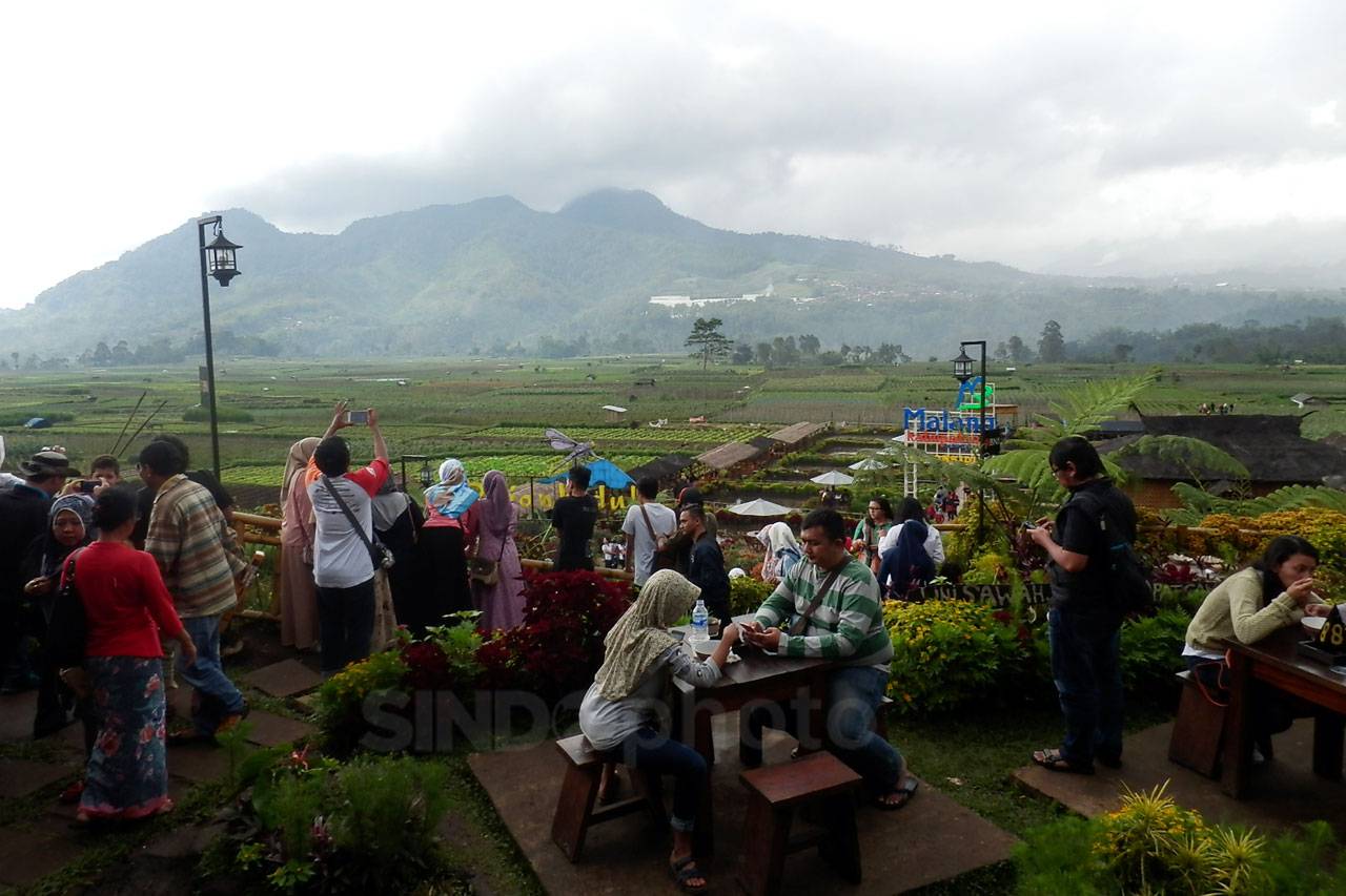 Cafe Sawah BNI, Berdayakan...