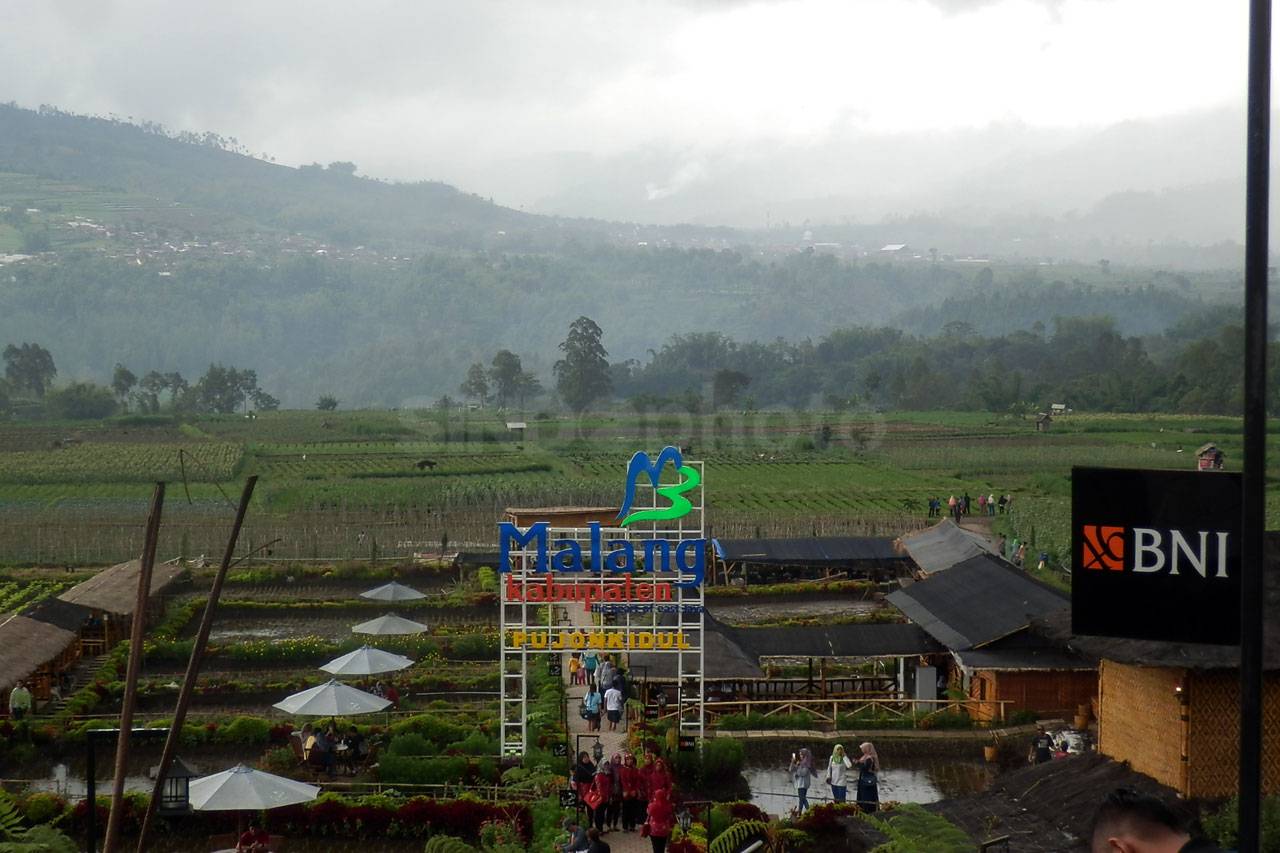 Cafe Sawah BNI, Berdayakan...