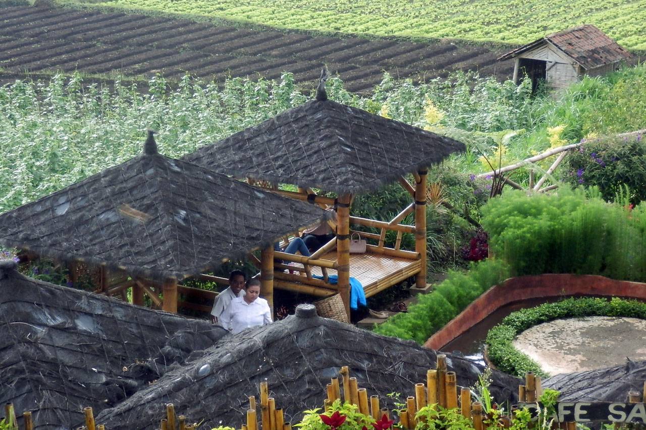 Cafe Sawah BNI, Berdayakan...