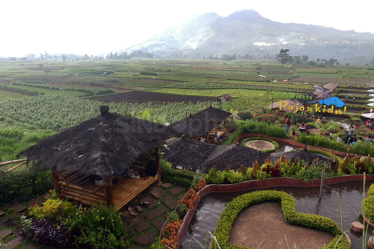 Cafe Sawah BNI, Berdayakan...