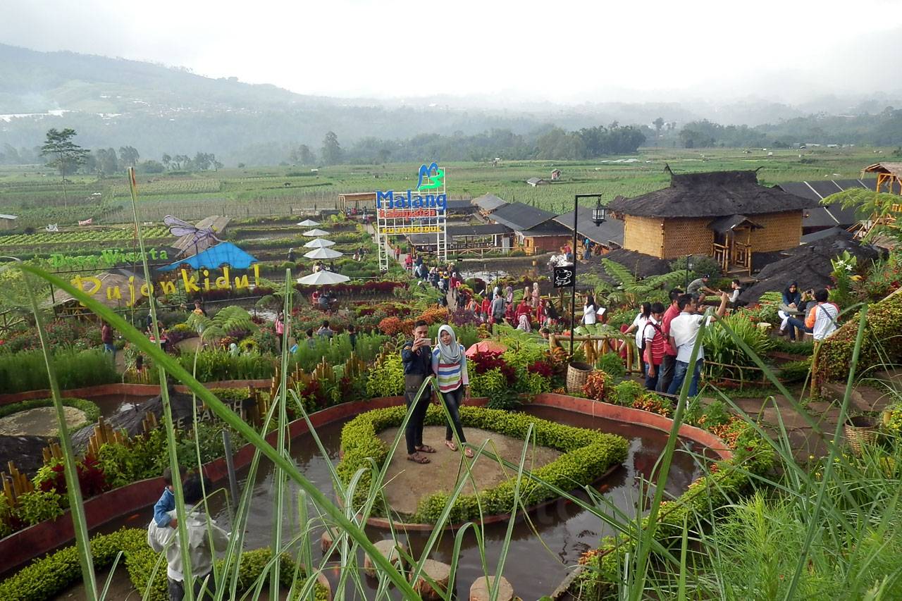 Cafe Sawah BNI, Berdayakan...