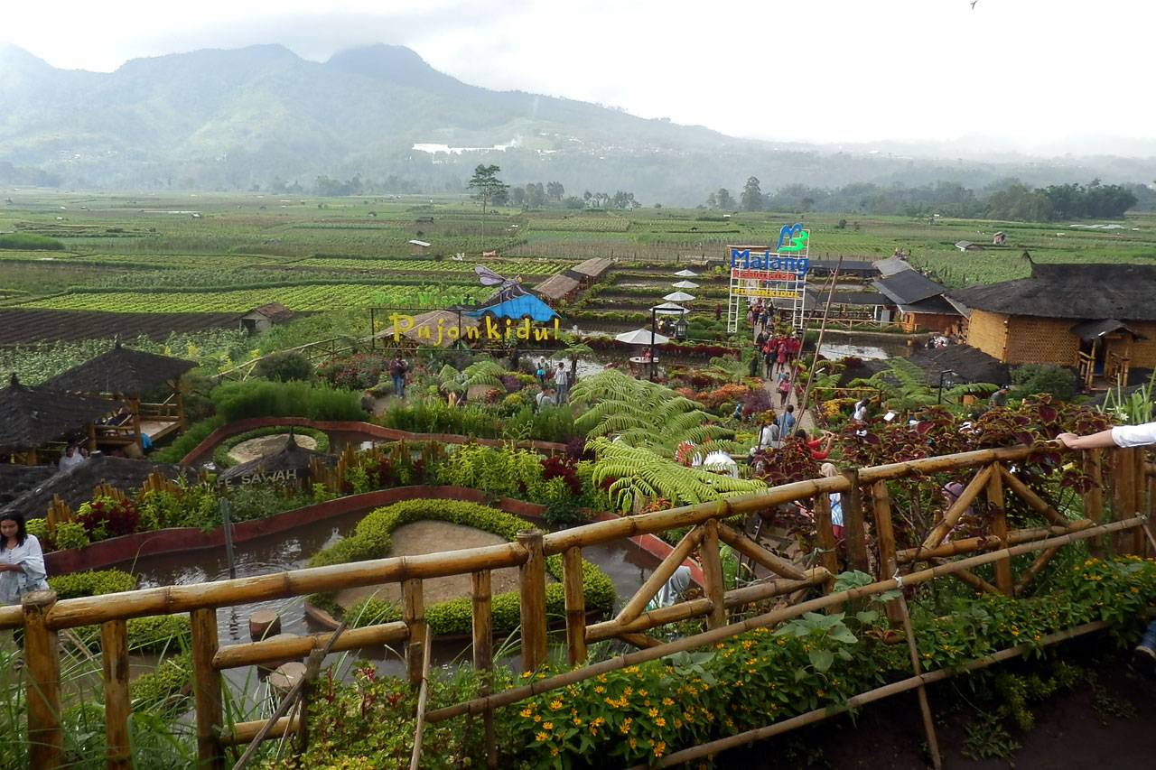Cafe Sawah BNI, Berdayakan...