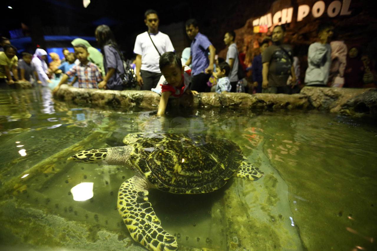 Aksi Sinterklas di Aquarium...