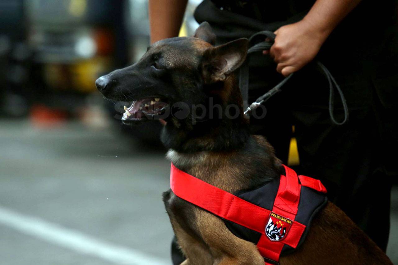 Unit K-9 Sabhara Polrestabes...
