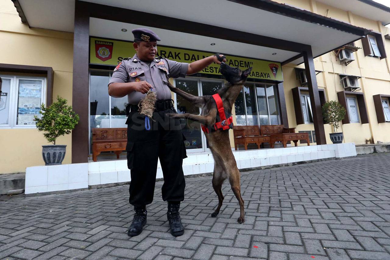 Unit K-9 Sabhara Polrestabes...