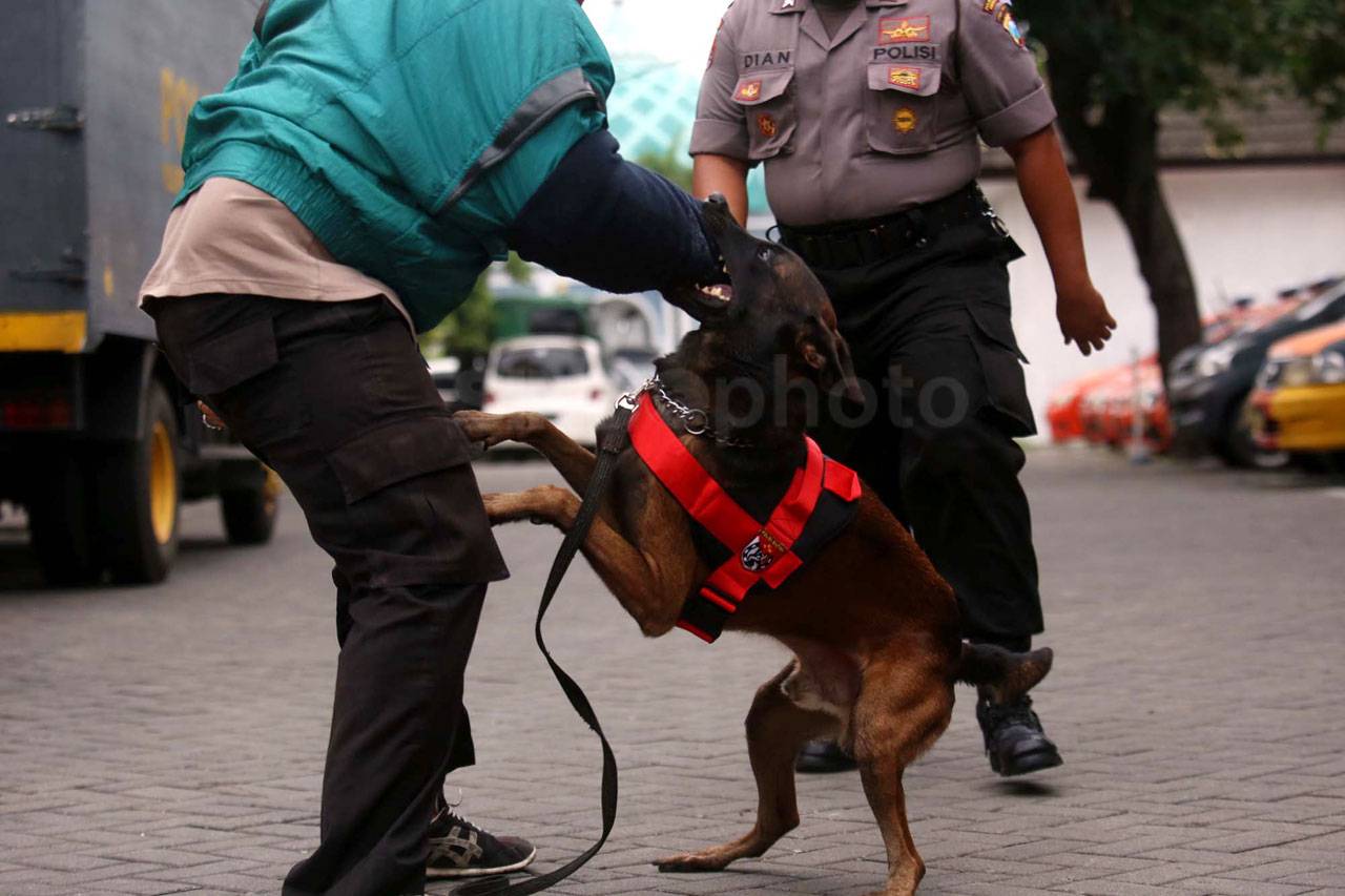 Unit K-9 Sabhara Polrestabes...