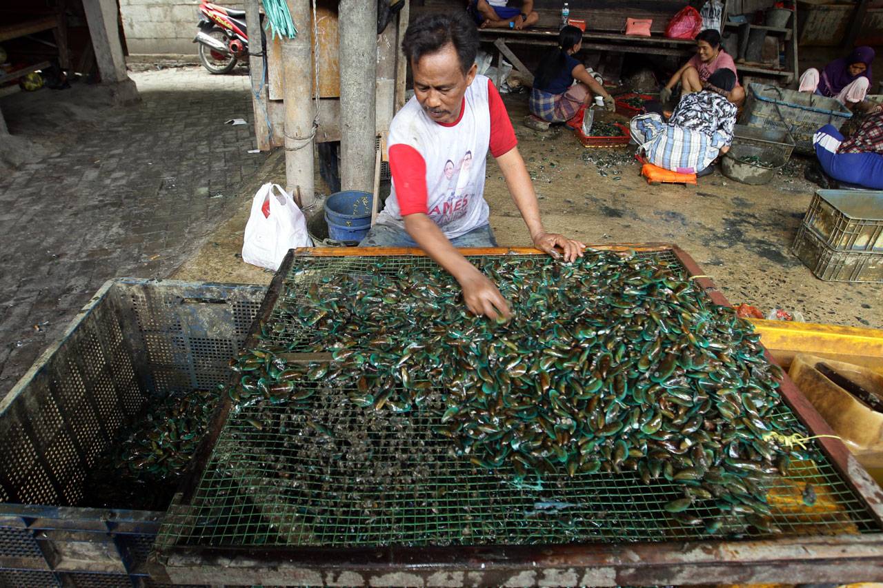 Kampung Kerang Hijau...