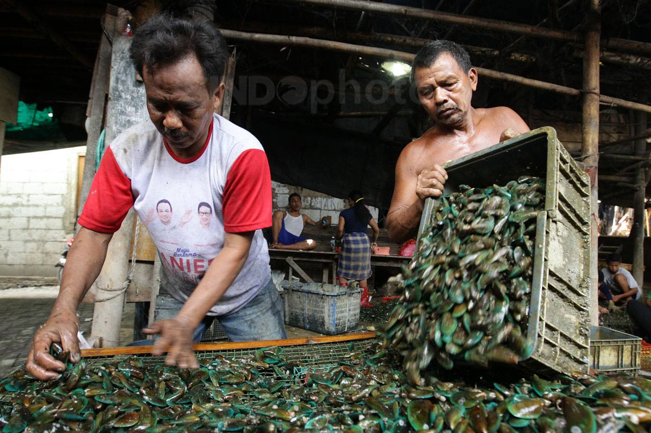 Kampung Kerang Hijau...