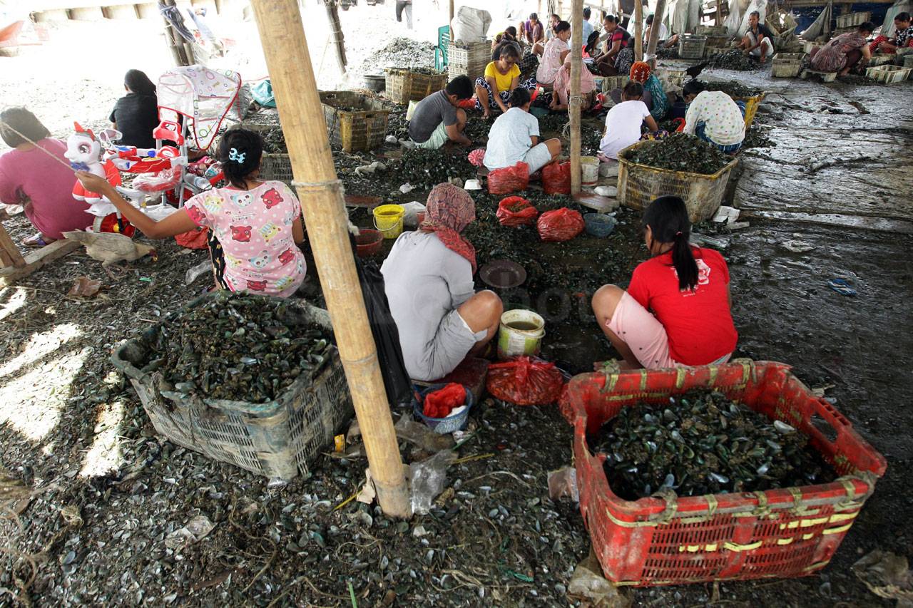 Kampung Kerang Hijau...