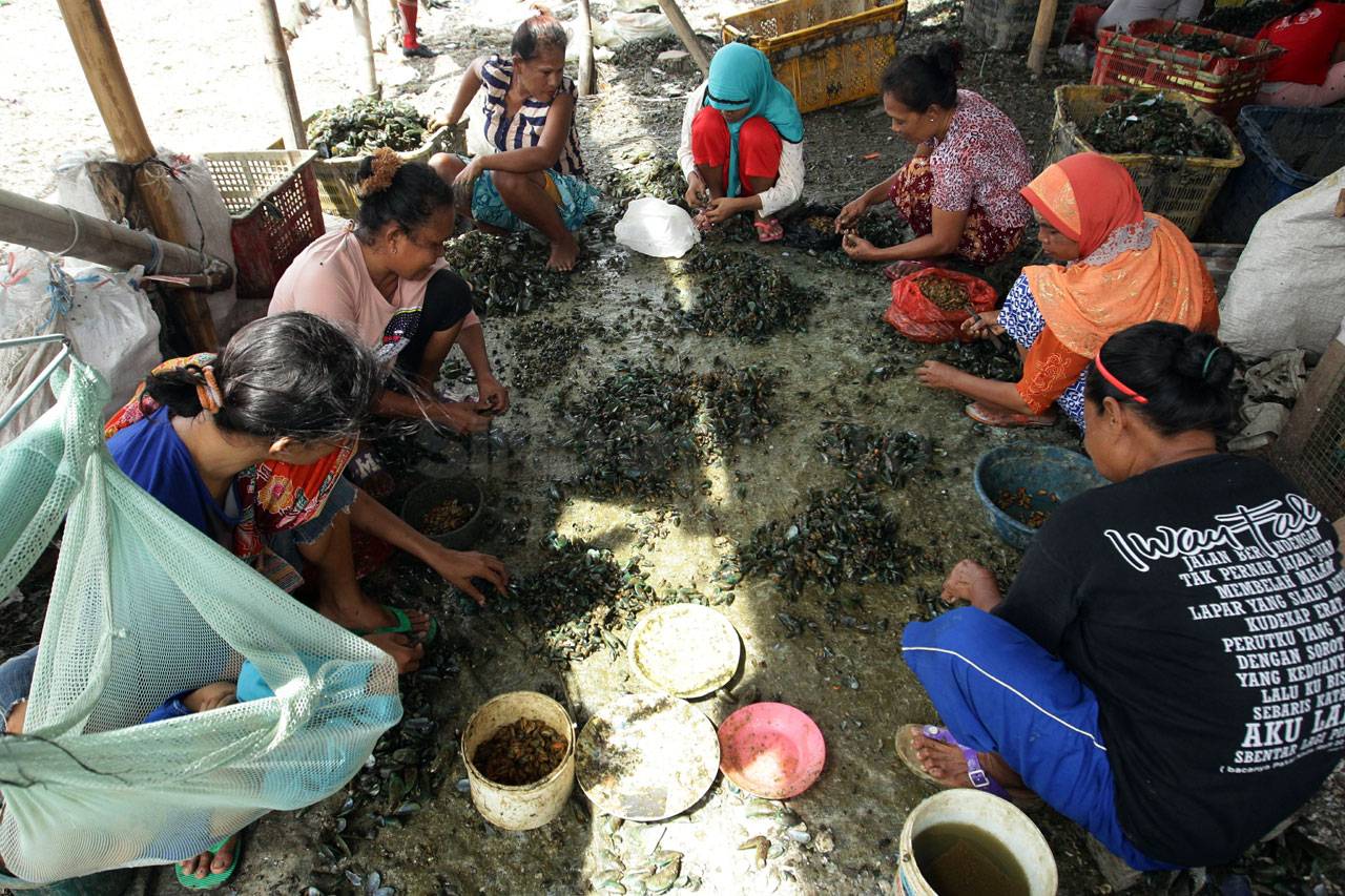 Kampung Kerang Hijau...