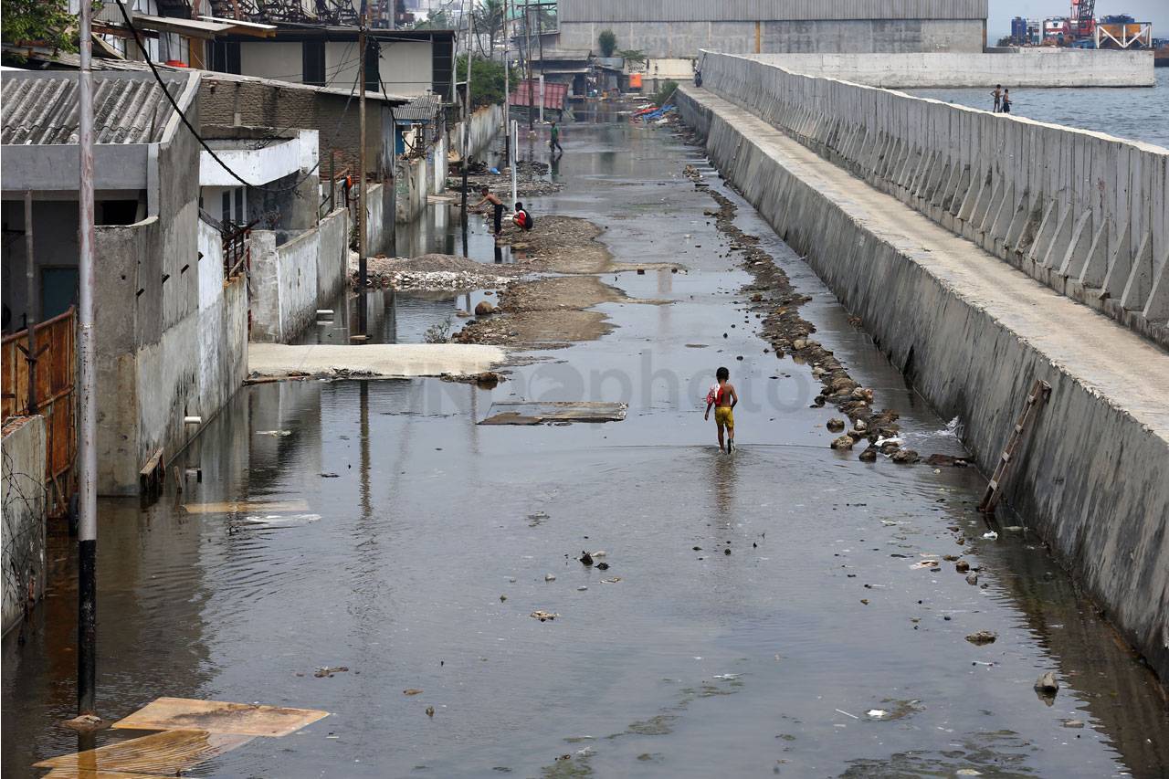 Giant Sea Wall di Pantai...