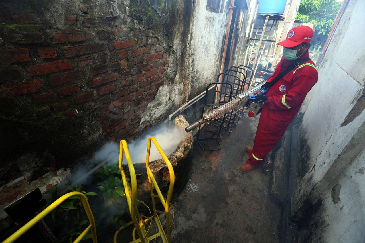 Cegah Maraknya DBD,...
