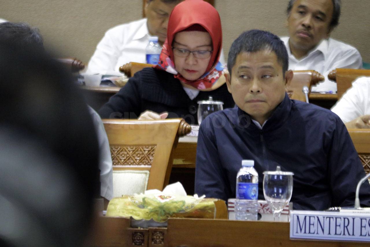 Menteri ESDM Raker dengan...