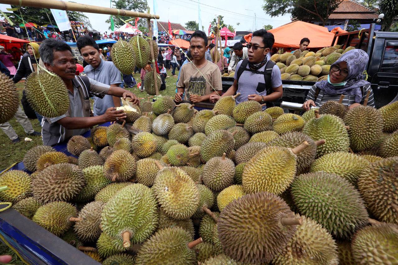 Ribuan Warga Berebut...