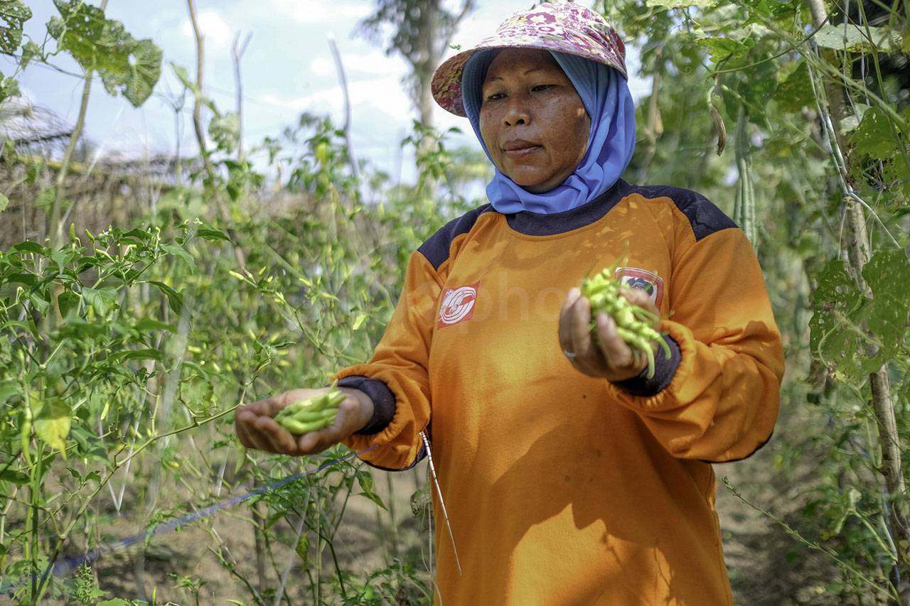 Sinar Mas Agribusiness...