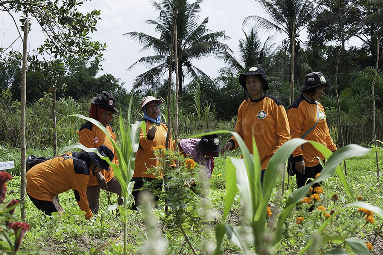 Sinar Mas Agribusiness...