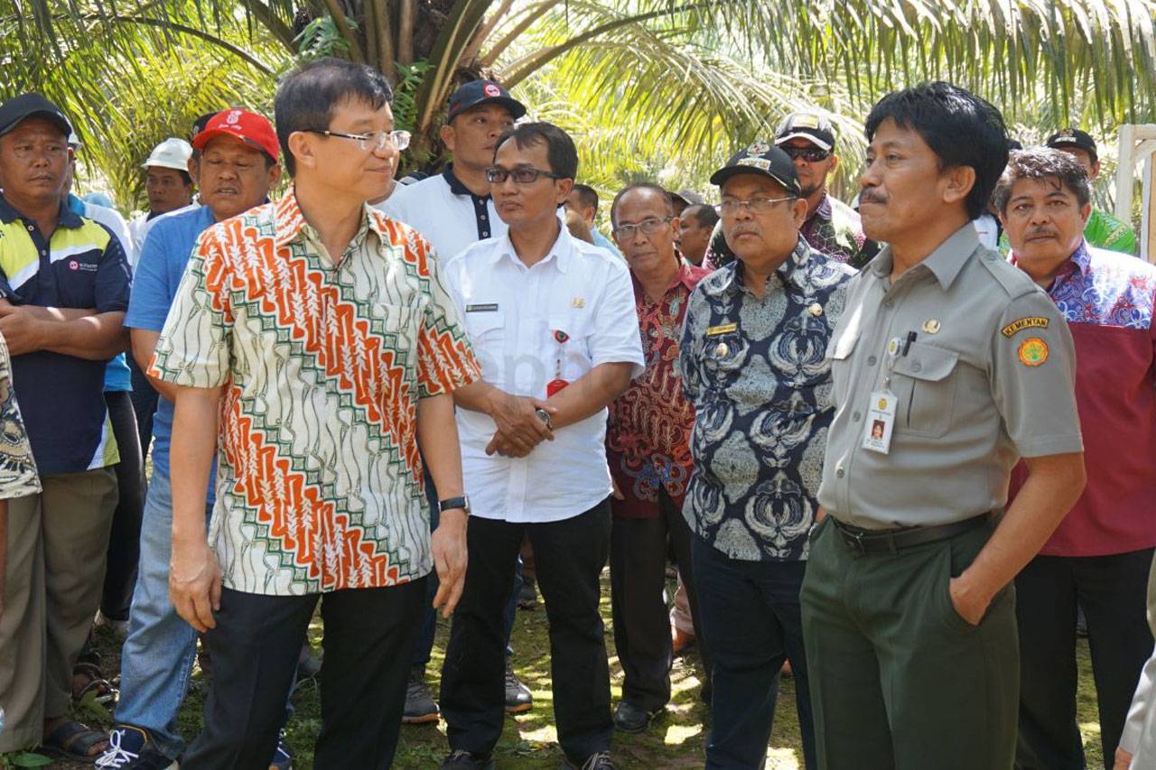 Sinar Mas Agribusiness...