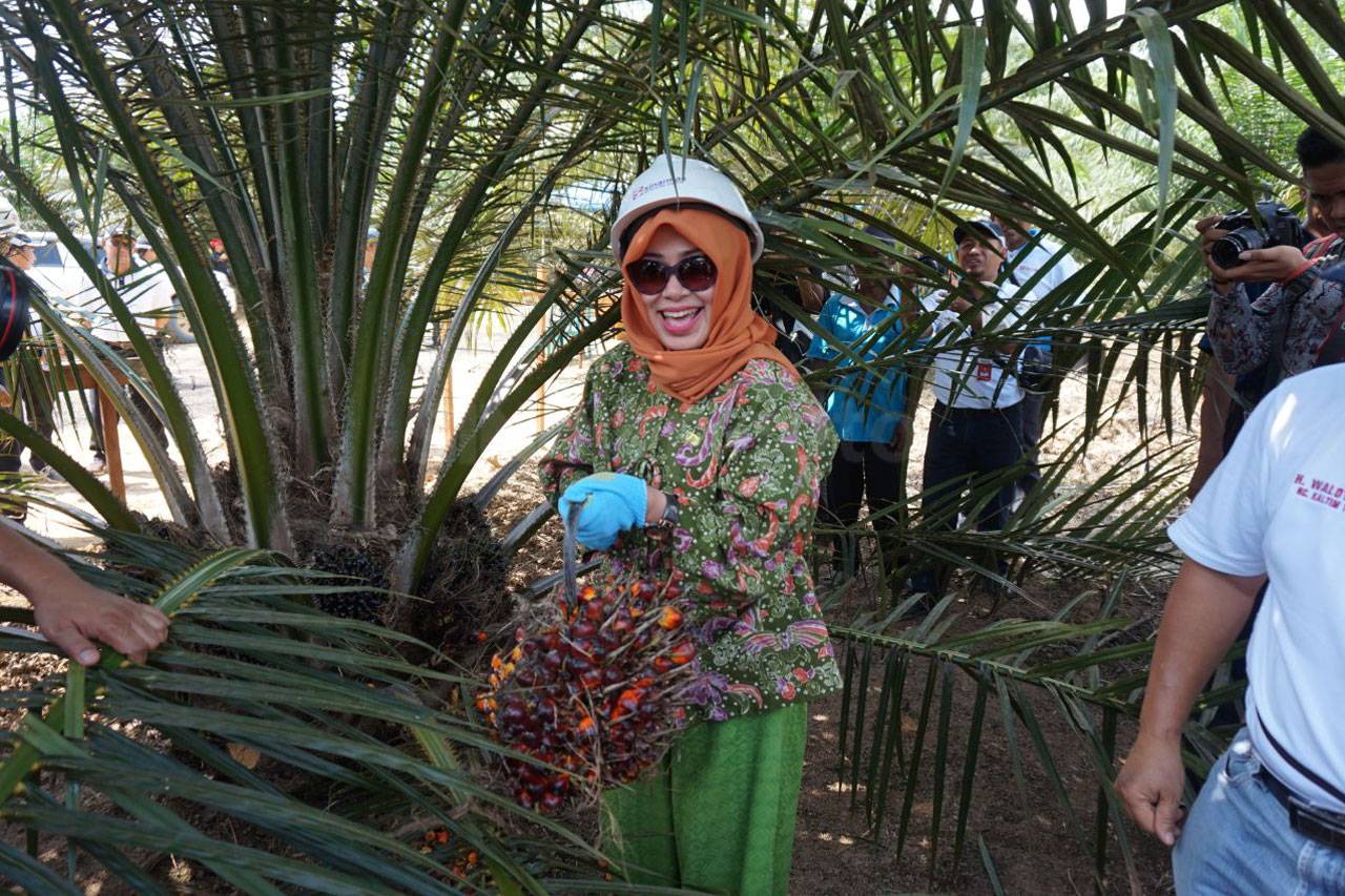Sinar Mas Agribusiness...