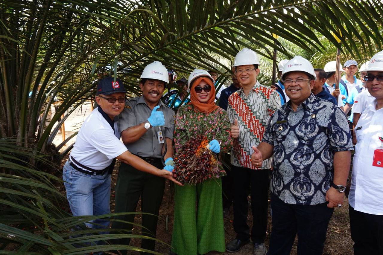 Sinar Mas Agribusiness...