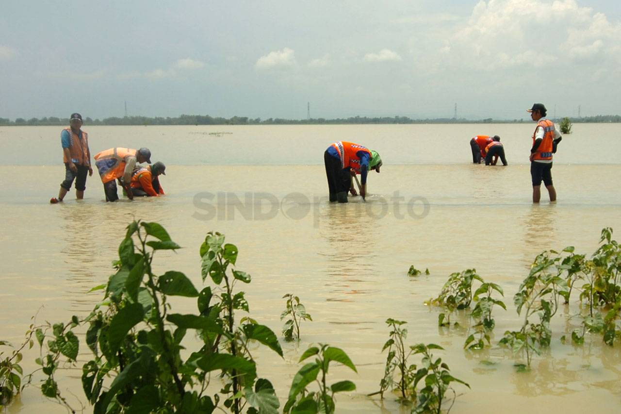 Banjir Masih Menggenangi...