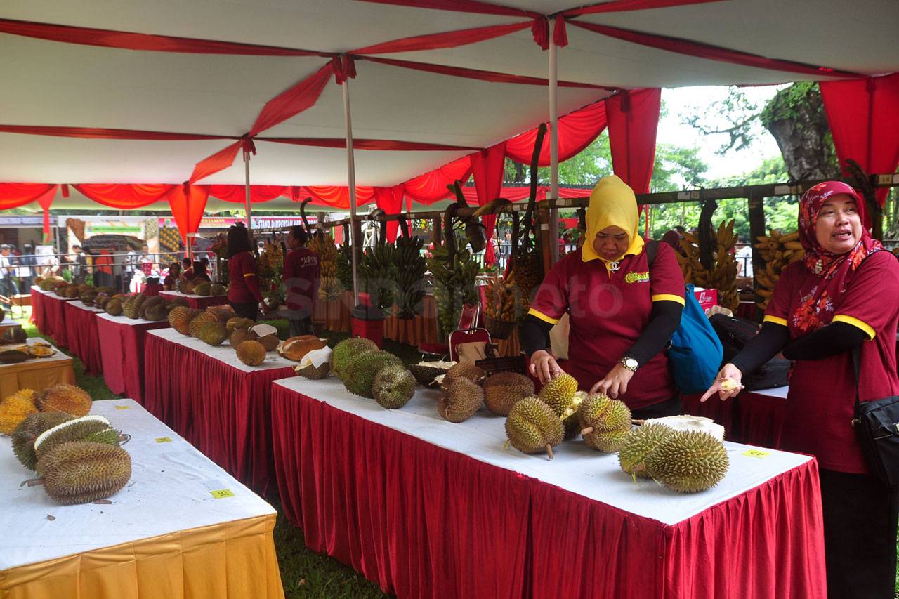 Buah Unggulan 35 Kota...